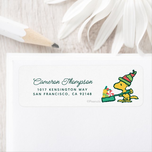 Etiqueta Cacahuetes | Cuanto Más Lo Más Mentiroso (In situ)