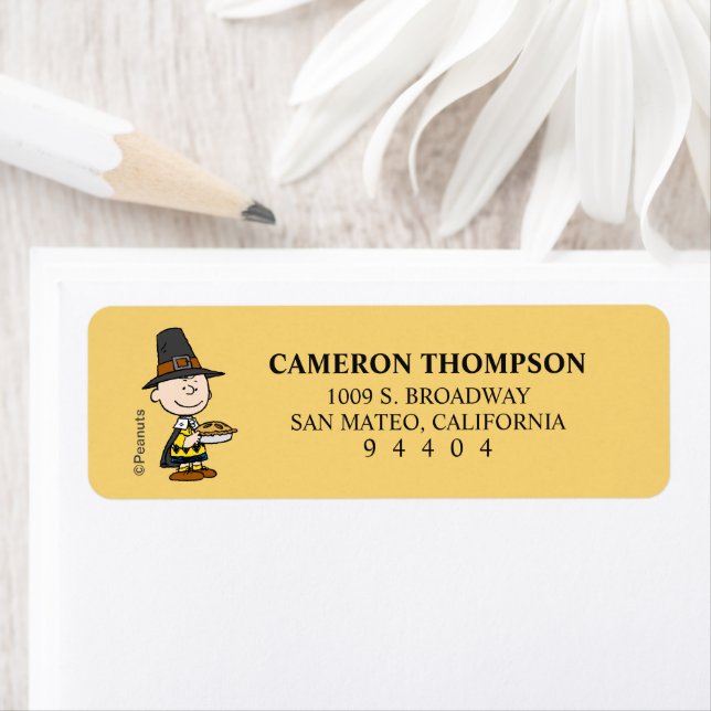 Etiqueta Cacahuetes | Peregrino de Charlie Brown (In situ)