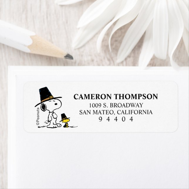 Etiqueta Cacahuetes | Peregrino Snoopy & Woodstock (In situ)