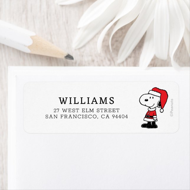 Etiqueta Cacahuetes | Snoopy Santa Claus (In situ)