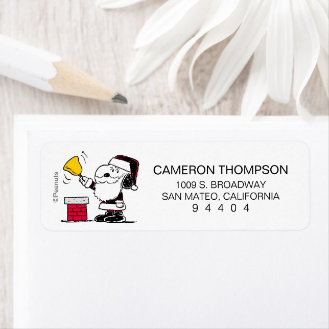 Etiqueta Cacahuetes | Snoopy & Woodstock Santa Bell Ringer (In situ)