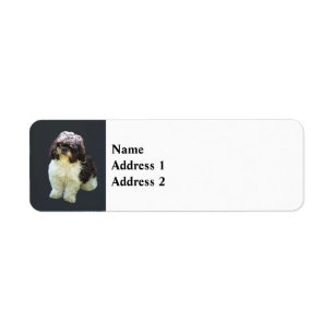Etiqueta Cachorro adorable de Shih Tzu