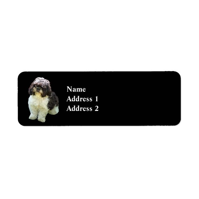 Etiqueta Cachorro adorable de Shih Tzu (Frente)