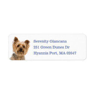 Etiqueta Cachorro Adorable de Yorkie Amante del Perro Yorks