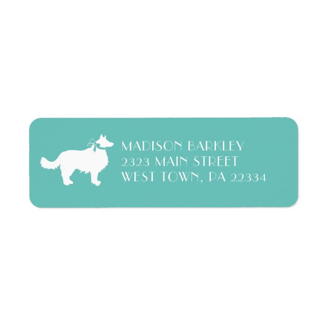 Etiqueta Cachorro collie de borde (Frente)