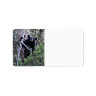 Etiqueta cachorro de oso negro