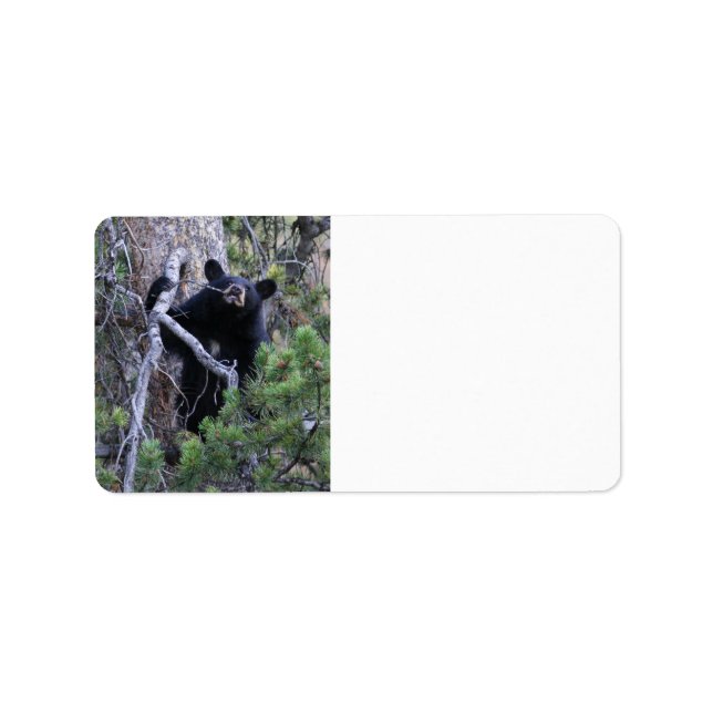 Etiqueta cachorro de oso negro (Frente)