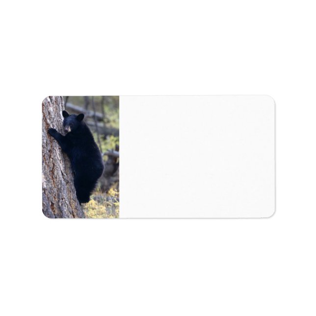 Etiqueta cachorro de oso negro (Frente)