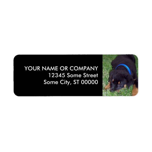 Etiqueta cachorro rottweiler. (Frente)