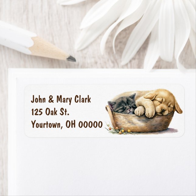 Etiqueta Cachorro Y Gatito En Cesta (In situ)