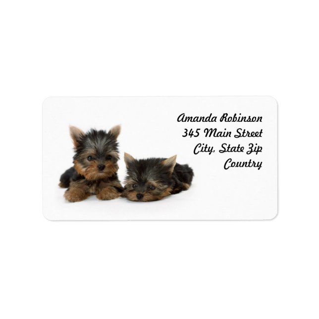 Etiqueta Cachorros de Cute Yorkshire Terrier (Frente)