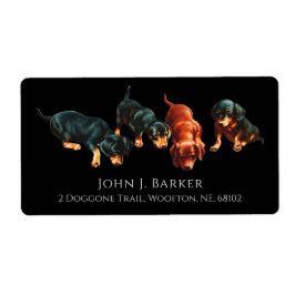 Etiqueta Cachorros de Dachshund Doxie Salchicha Perrito 