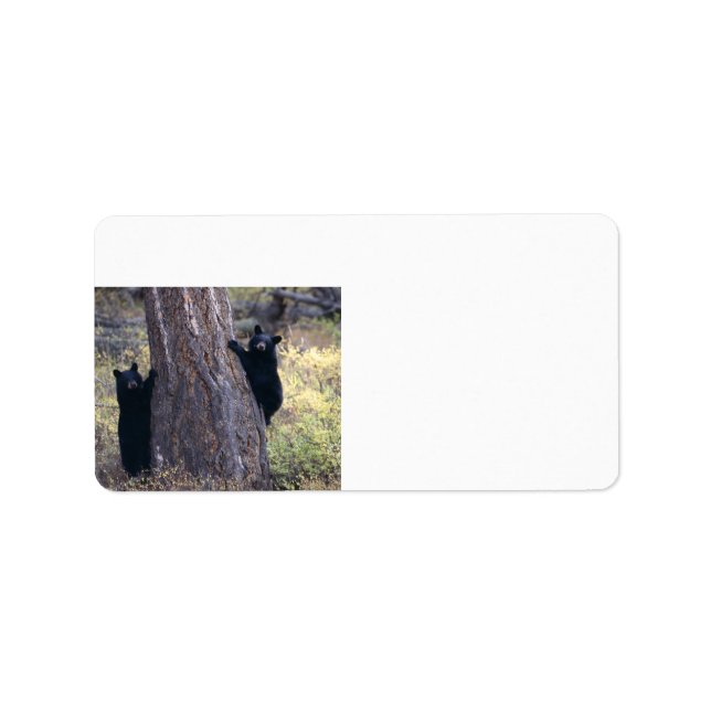 Etiqueta cachorros de oso negro (Frente)