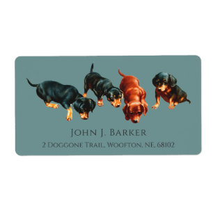 Etiqueta Cachorros Salchicha Wiener Slate Azul
