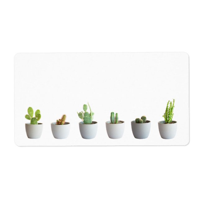 Etiqueta Cactus en macetas (Frente)