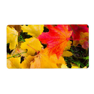 Etiqueta Caer hojas de arce en el suelo