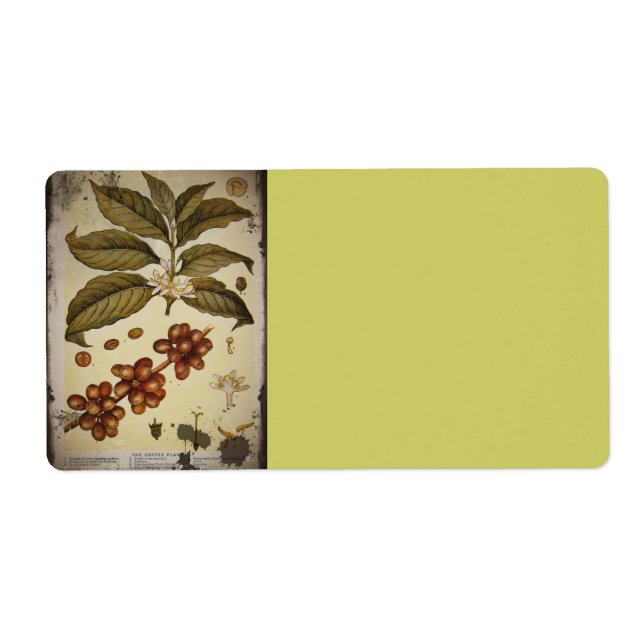 Etiqueta Café de imagen botánica retro (Frente)