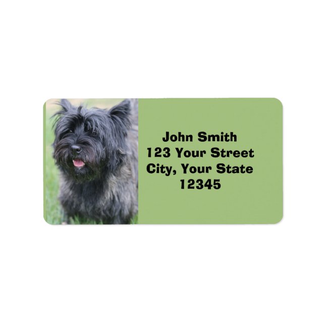 Etiqueta Cairn (Frente)