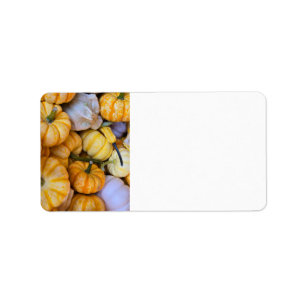 Etiqueta Calabazas y calabazas otoñales
