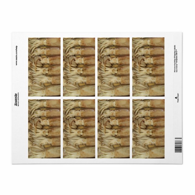 Etiqueta Calamari (Hoja Entera)