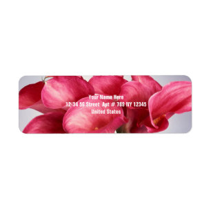 Etiqueta Calas rosadas