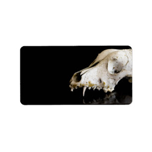 Etiqueta Calavera animal