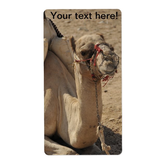 Etiqueta Camello (Frente)