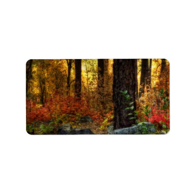 Etiqueta Caminata matutina (Frente)