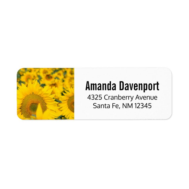 Etiqueta Campo amarillo de girasoles, fotografía (Frente)