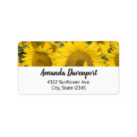 Campo amarillo de girasoles, fotografía