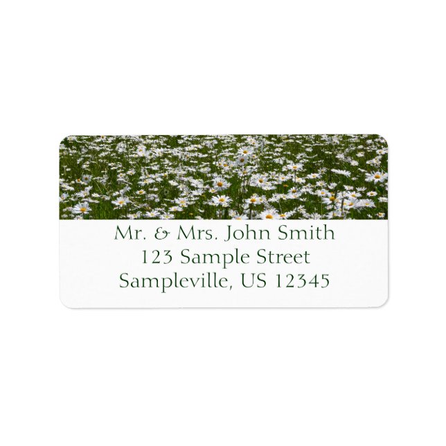 Etiqueta Campo de flores silvestres de Daisies Alaskan (Frente)