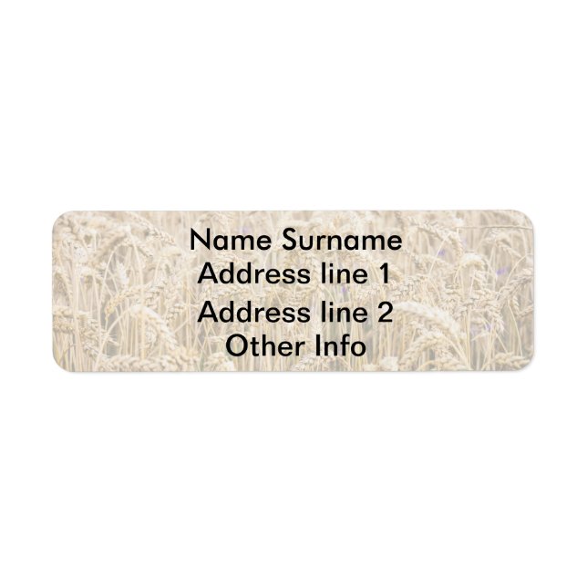 Etiqueta Campo De Trigo, Granos Dorados (Frente)