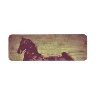 Etiqueta Canción de Saddlebred