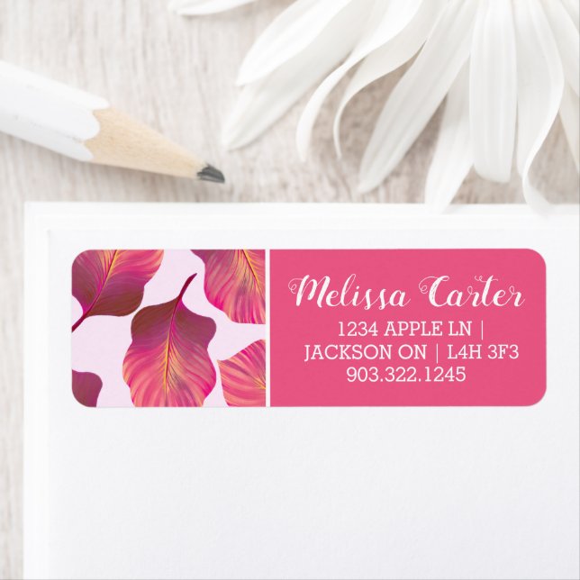 Etiqueta Canna Tropicanna sale de rosa (In situ)