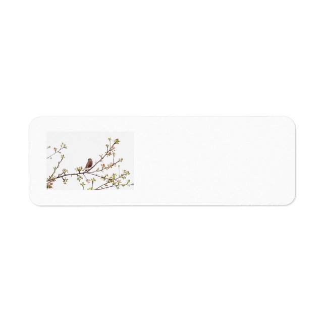 Etiqueta Canto de pájaros con flores de primavera (Frente)