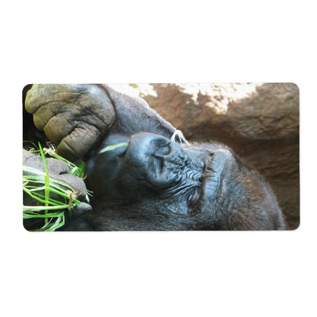 Etiqueta Capucha de simio ~ Comer gorila japonés (Frente)