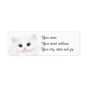 Etiqueta Cara blanca de gatito