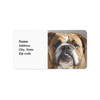 Etiqueta Cara de bulldog - Bulldog inglés, marrón