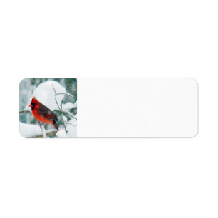 Etiqueta Cardenal Nevado