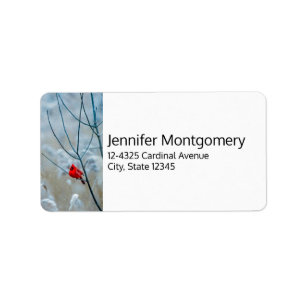 Etiqueta Cardenal rojo en Navidades de fotografía de natura