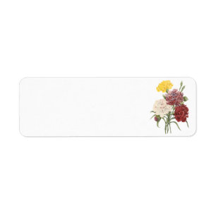 Etiqueta carnation(Dianthus sp.) de Redouté