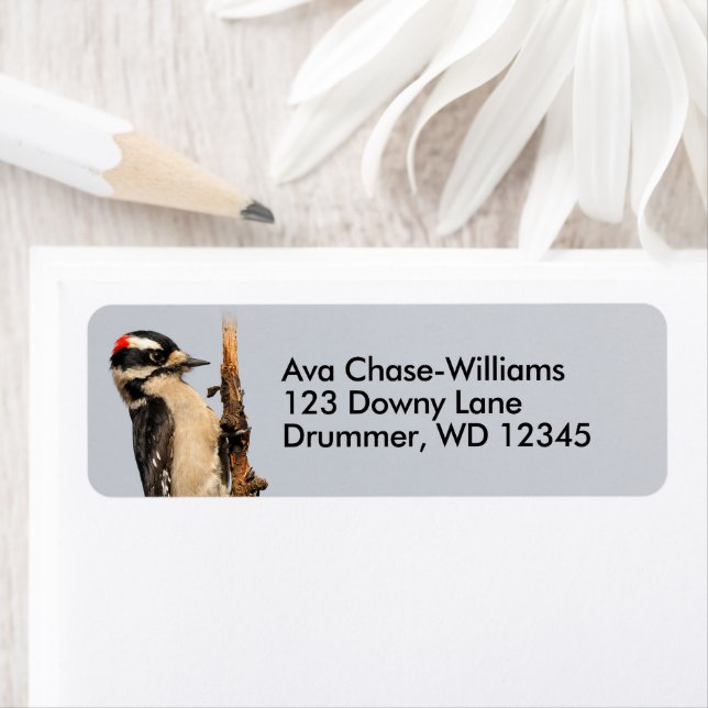 Etiqueta Carpintero lechoso en árbol de frutas (In situ)