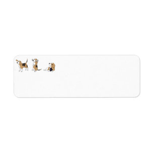 Etiqueta carta de treeing walker coonhound 2