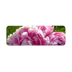 Etiqueta Casa de campo de campo con flores de Pink Peony