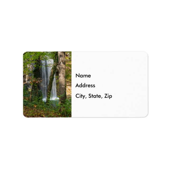 Etiqueta Cascada En El Bosque (Frente)