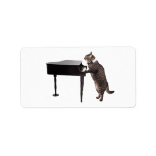 Etiqueta Cat Playing Piano