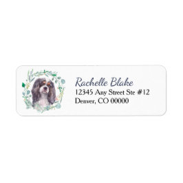 Etiqueta Cavalier King Charles Spaniel