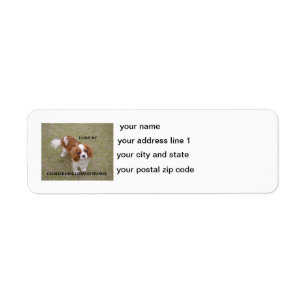 Etiqueta Cavalier-king-charles-spaniel blenheim love w pic.