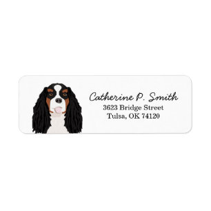 Etiqueta Cavalier tricolado Rey Charles Spaniel Retorno