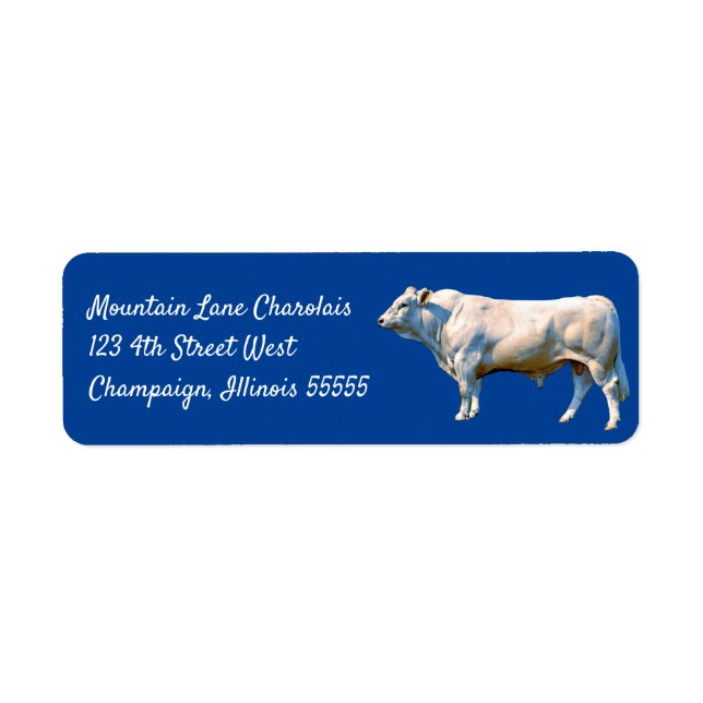 Etiqueta Charolais Bull (Frente)